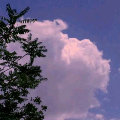 闲置启示录无限钻石版下载